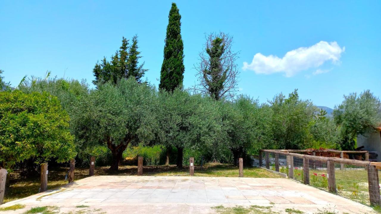 Platanos Villa Vasiliki  Exterior photo